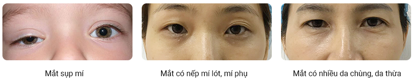 cat mi han quoc 2